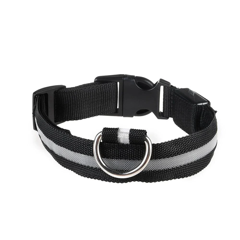 Collier LED Pour Animaux Nylon Résistant Édition Limitée – Image 5