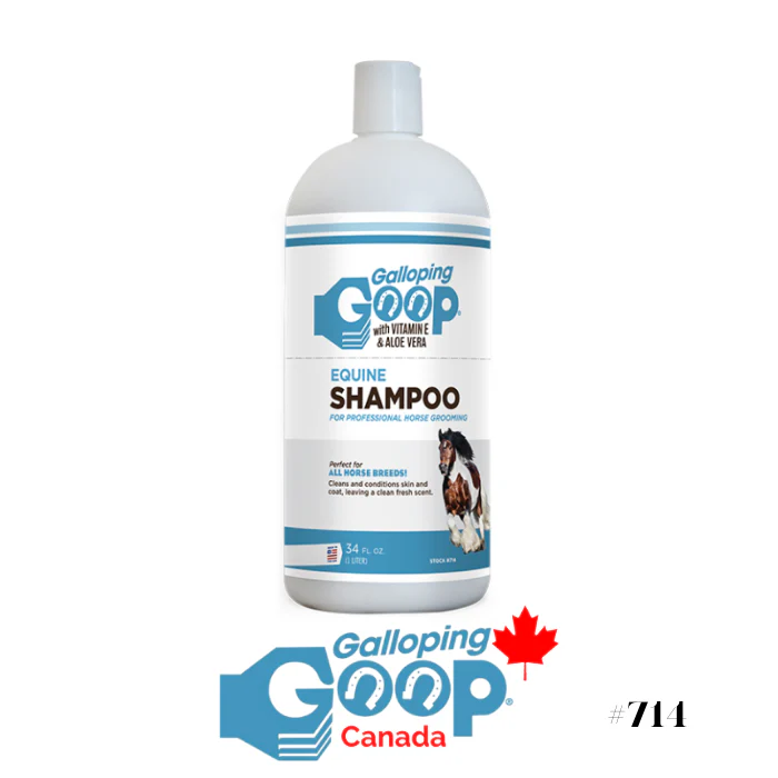 Shampoing Hi Silver – Image 2