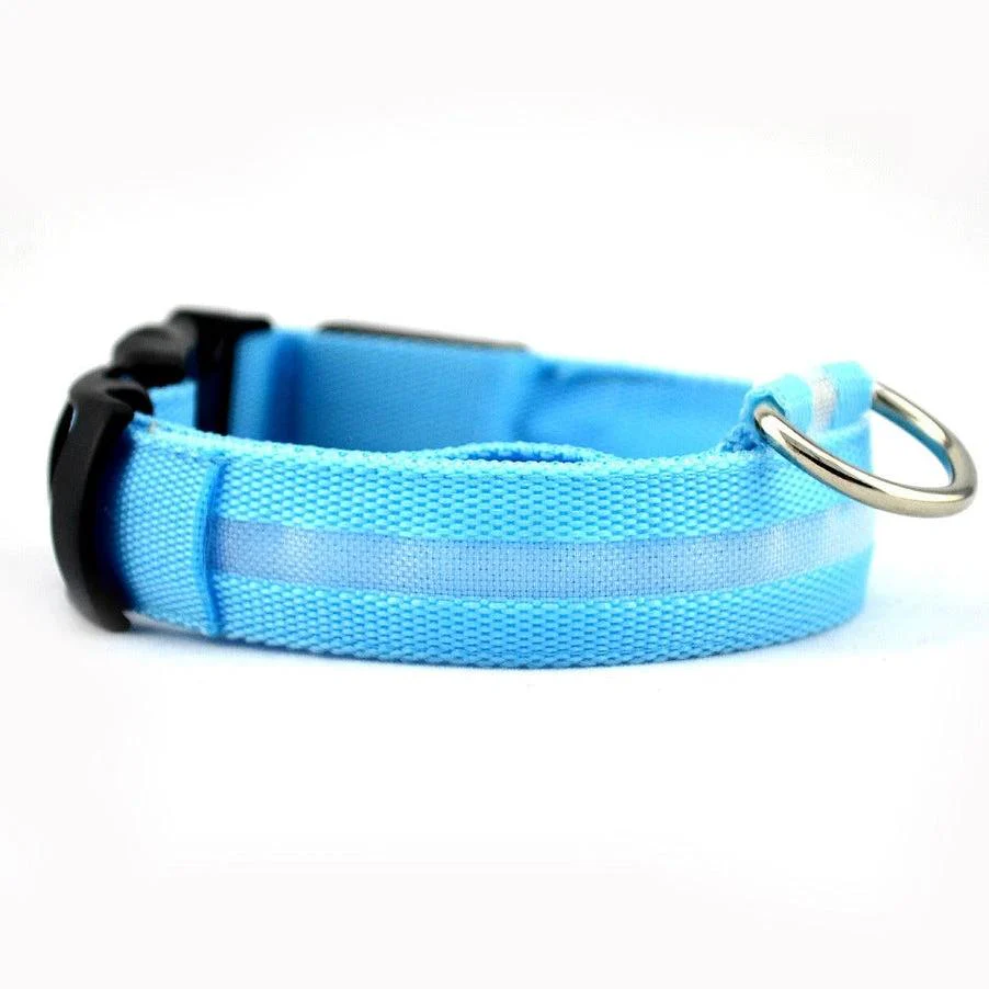 Collier LED Pour Animaux Nylon Résistant Édition Limitée