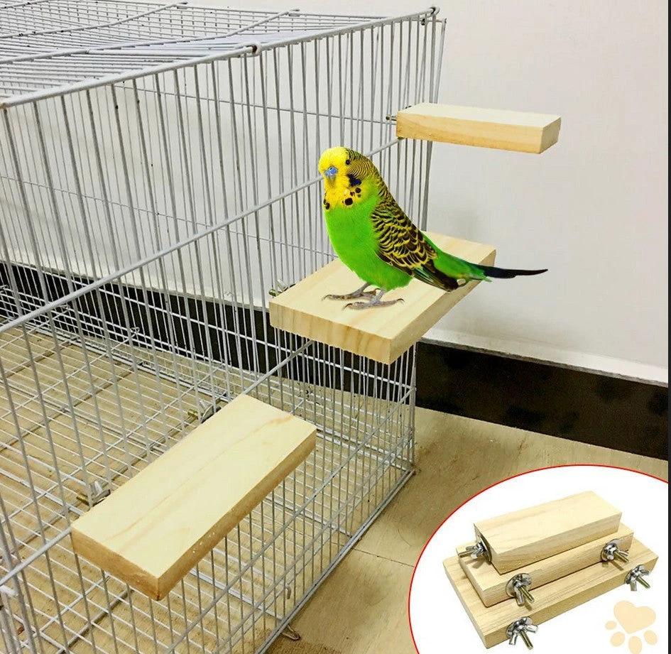 Perchoir Bois Massif Multifonction Exclusif Pour Oiseaux – Image 2