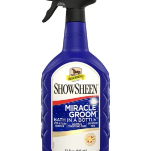 Shampoing Sec Miracle Groom