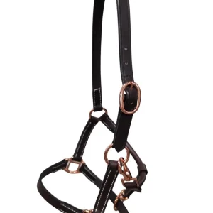Licou en cuir pour mini ou poulain Rose Gold