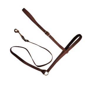 Enrênement Noseband et Tie-Down Sierra Web