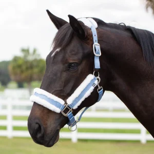 Licou Breakaway avec mouton Ultra Fleece Valkyrie